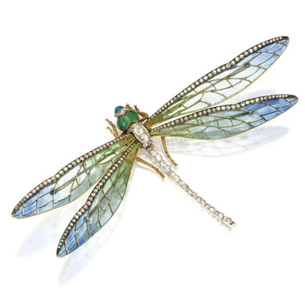 dragonfly.jpg